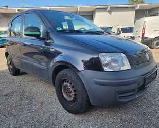 Fiat Panda Gebrauchtwagen