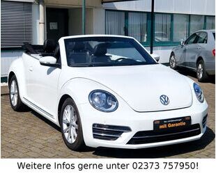 VW Beetle Gebrauchtwagen