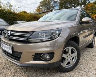 VW Tiguan Gebrauchtwagen