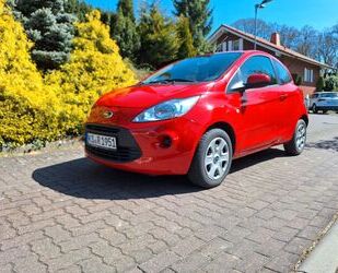 Ford Ka/Ka+ Gebrauchtwagen