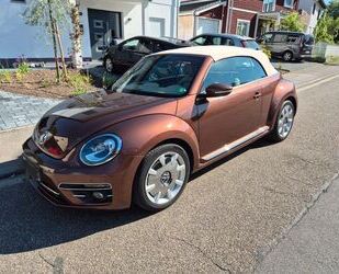 VW Beetle Gebrauchtwagen