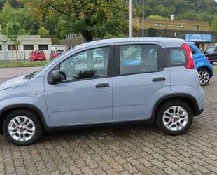 Fiat Panda Gebrauchtwagen