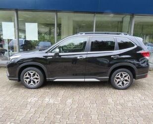 Subaru Forester Gebrauchtwagen