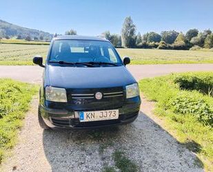 Fiat Panda Gebrauchtwagen