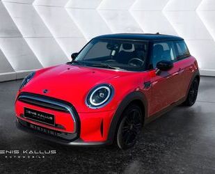 Tesla Cooper 