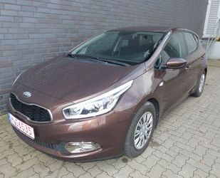 Kia ceed / Ceed Gebrauchtwagen