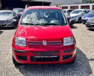 Fiat Panda Gebrauchtwagen