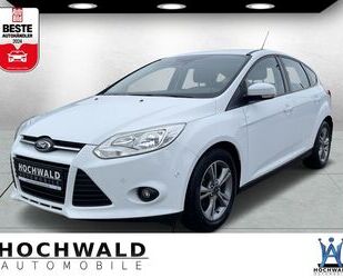 Ford Ford Focus Lim. Champions Edition SHZG PDC TEMPO. Gebrauchtwagen