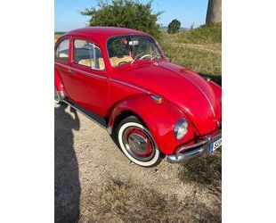 VW Käfer Gebrauchtwagen
