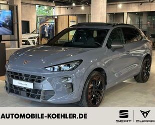 Cupra Terramar Gebrauchtwagen