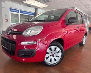 Fiat Panda Gebrauchtwagen