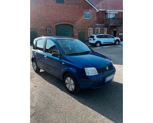 Fiat Panda Gebrauchtwagen
