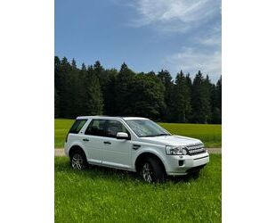 Land Rover Freelander Gebrauchtwagen