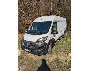 Fiat Ducato Gebrauchtwagen