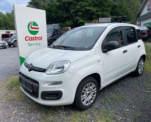 Fiat Panda Gebrauchtwagen