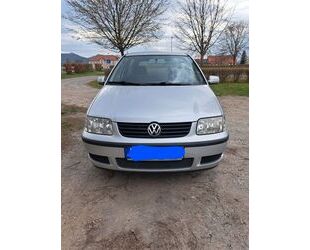 VW Polo Gebrauchtwagen
