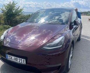 Tesla Model Y Gebrauchtwagen