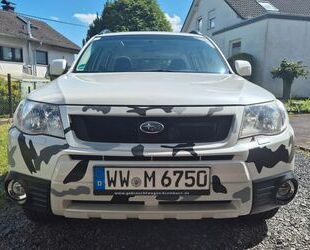 Subaru Forester Gebrauchtwagen