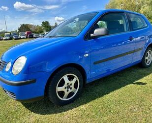 VW Polo Gebrauchtwagen