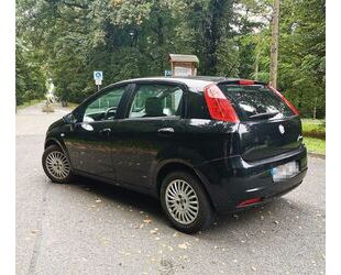 Fiat Punto Gebrauchtwagen