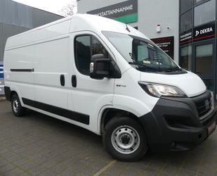 Fiat Ducato Gebrauchtwagen