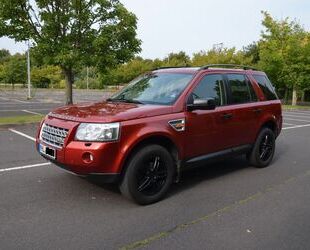Land Rover Freelander Gebrauchtwagen