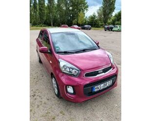 Kia Picanto Gebrauchtwagen