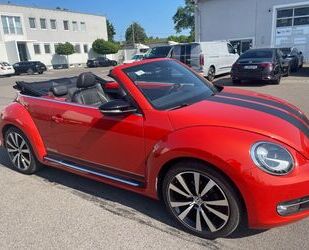 VW Beetle Gebrauchtwagen
