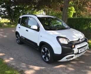Fiat Panda Gebrauchtwagen