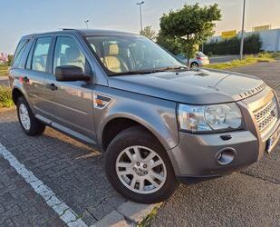 Land Rover Freelander Gebrauchtwagen