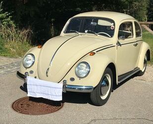 VW Käfer Gebrauchtwagen
