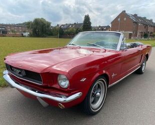 Ford Mustang Gebrauchtwagen
