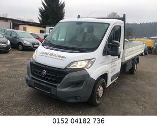 Fiat Ducato Gebrauchtwagen
