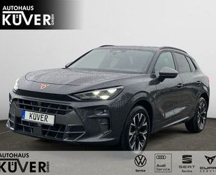 Cupra Terramar Gebrauchtwagen