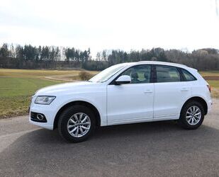 Audi Q5 Gebrauchtwagen