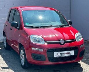 Fiat Panda Gebrauchtwagen