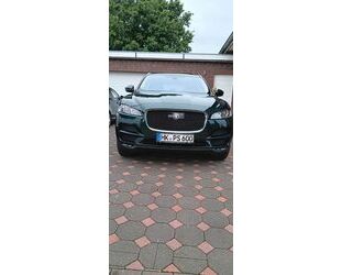 Jaguar F-Pace Gebrauchtwagen