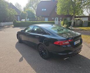 Jaguar XF Gebrauchtwagen
