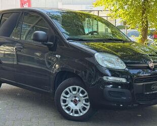 Fiat Panda Gebrauchtwagen