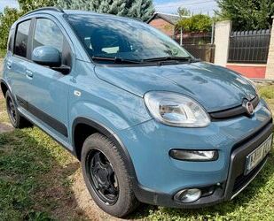 Fiat Panda Gebrauchtwagen