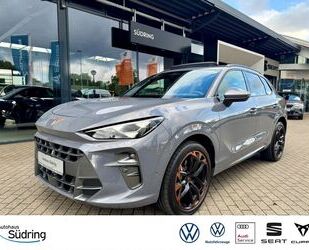 Cupra Terramar Gebrauchtwagen