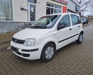 Fiat Panda Gebrauchtwagen