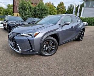 Lexus UX Gebrauchtwagen