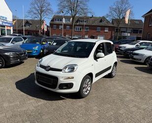 Fiat Panda Gebrauchtwagen