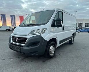 Fiat Ducato Gebrauchtwagen