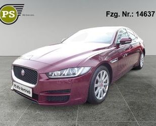 Jaguar XE Gebrauchtwagen