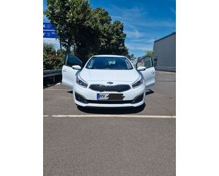 Kia ceed / Ceed Gebrauchtwagen