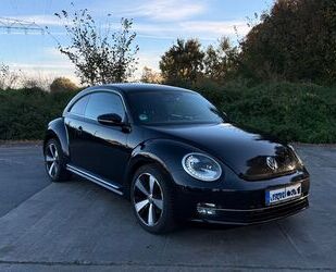 VW Beetle Gebrauchtwagen