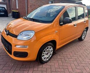Fiat Panda Gebrauchtwagen