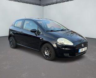 Fiat Punto Gebrauchtwagen